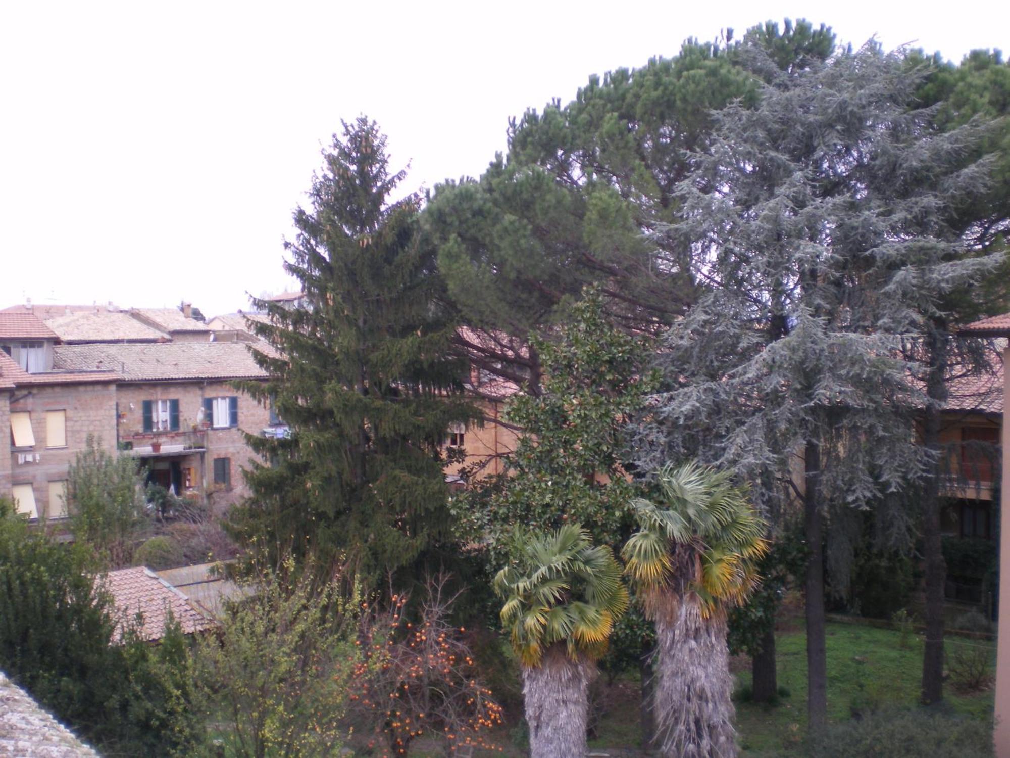 Hotel Valentino Centro Storico Orvieto Buitenkant foto